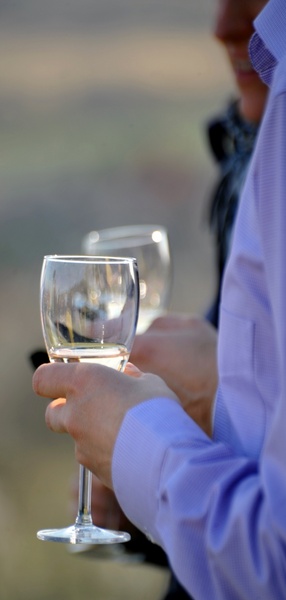 Pince Rallye - Tájékozódás, verseny, felfedezés történelmi borvidékeken