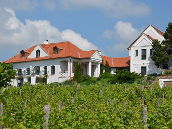 Pince Rallye - Tájékozódás, verseny, felfedezés történelmi borvidékeken