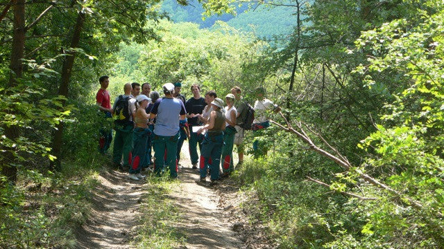 Kimenekítés - összetett erdei játék